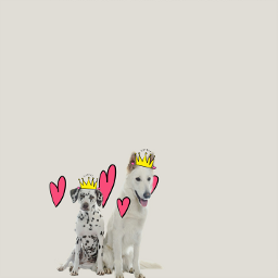 freetoedit dogs queens kings love